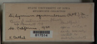 Image Associated With the Occurence
